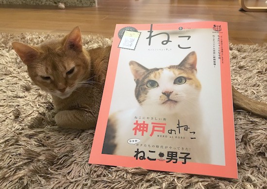 雑誌「ねこ」に載せてもらいました♪ : おうちごはんとおかしとねこ 