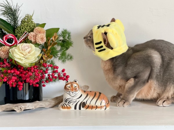 リサラーソンのとらと、わが家のトラ : おうちごはんとおかしとねこ