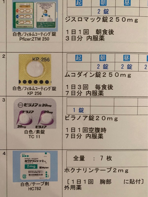 りす子 歯肉炎の経過報告と避妊手術の相談に行く おうちごはんとおかしとねこ Powered By ライブドアブログ