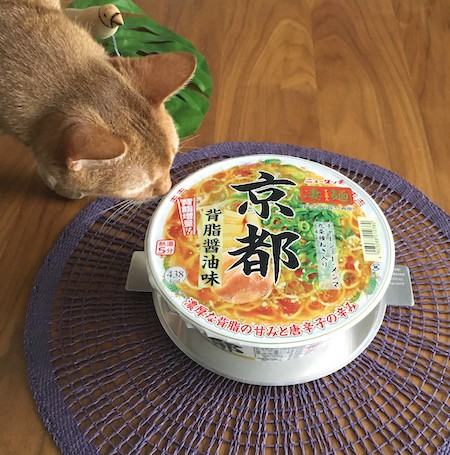 コレクション 猫 ラーメン 京都 1065 猫 ラーメン 京都