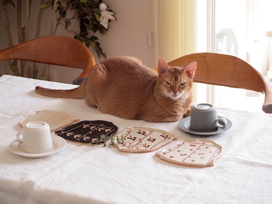 木村涼子さんの、お洋服プレート : おうちごはんとおかしとねこ