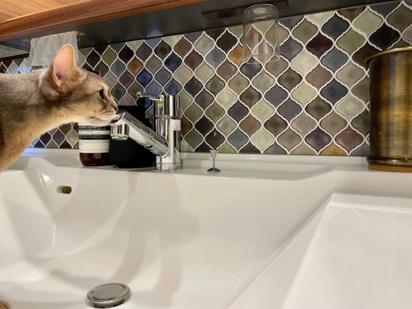 白い陶器の洗面器 手洗い 北欧風 便利 きれいだ 藍華 お浸し小鉢 12cm