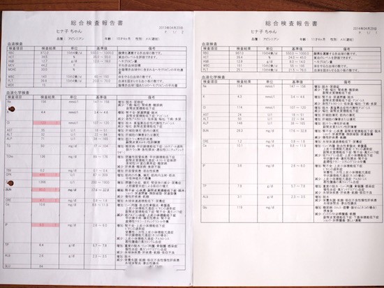 ひな子 リンパ腫発症から３年が経ちました 今元気です おうちごはんとおかしとねこ Powered By ライブドアブログ
