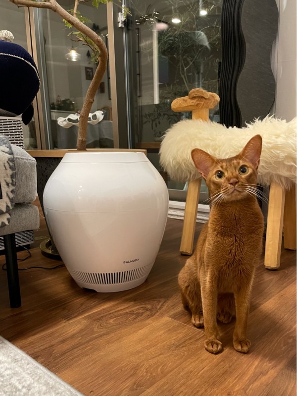 BALMUDA バルミューダ SmartHeater2 スタンダードモデル ESH-1100SD-GW 電気ヒーター グレー×ホワイト 美品 F4226963