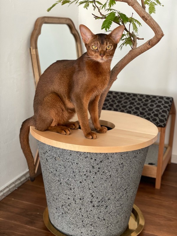 猫の飼い主様専用 観葉植物 飾り台 ミニテーブル（猫のいる部屋