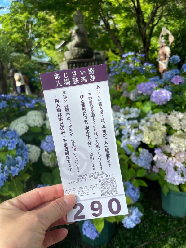 長谷寺の紫陽花が とても綺麗でした おうちごはんとおかしとねこ Powered By ライブドアブログ