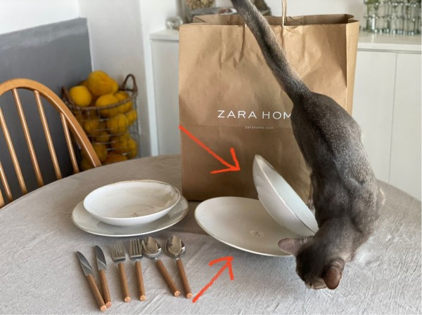 ZARA HOME」のテーブルウェアが、かわいかった♪ : おうちごはんと