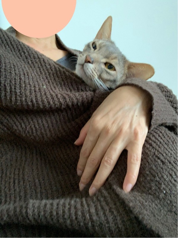 抱っこスリングが欲しい おうちごはんとおかしとねこ Powered By ライブドアブログ