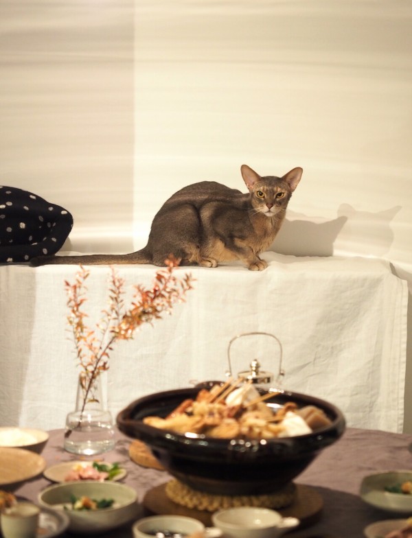 今年初 おでん の夜ごはん おうちごはんとおかしとねこ Powered By ライブドアブログ