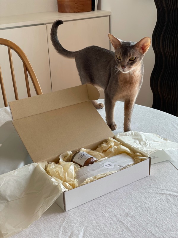 Wellkのスコーンと 塩バターキャラメル と スコーン でおやつタイム おうちごはんとおかしとねこ Powered By ライブドアブログ