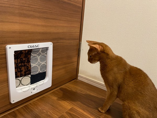 ペットドアをカスタにゃイズ おうちごはんとおかしとねこ Powered by ライブドアブログ