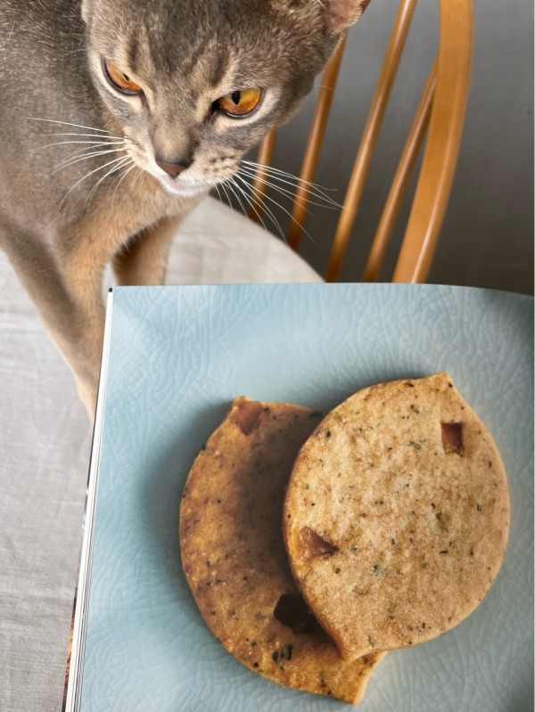 猫の和菓子大家族セットどら焼き 薯蕷饅頭 お取り寄せスイーツ お土産 お歳暮 お祝い お菓子 お返し ギフト プレゼント ミケネコ 内祝い 動物  可愛い 小豆餡 差し入れ 引菓子 手土産 猫の日 白あん 福ねこ 肉球 胡麻あん 贈り物 10周年記念イベントが 福ねこ