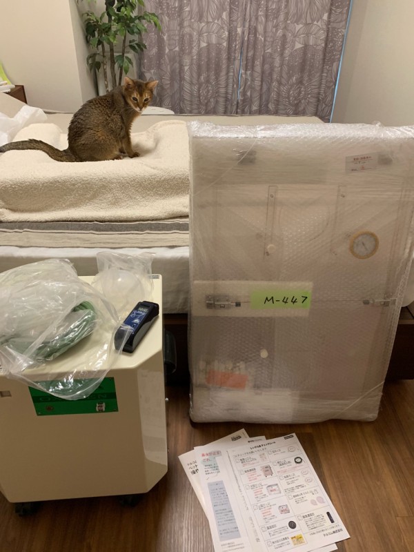 ちび子は 酸素ルームに入りました おうちごはんとおかしとねこ Powered By ライブドアブログ