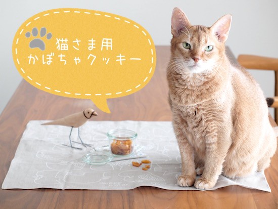 猫様用おやつ かぼちゃのしっとりクッキーレシピ おうちごはんとおかしとねこ Powered By ライブドアブログ