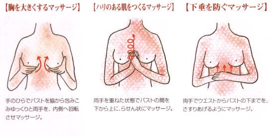 Aカップからeカップに 誰でも1ヶ月でふっくらバストを叶える方法 キレイになるための近道