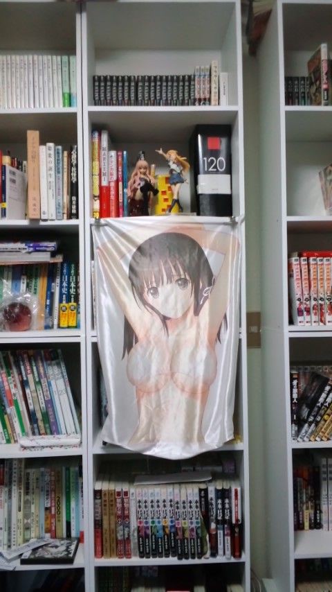 部屋にフィギュアを飾りました 情信グループ雑談ブログ 部屋にフィギュアを飾りました 情信グループ雑談ブログ