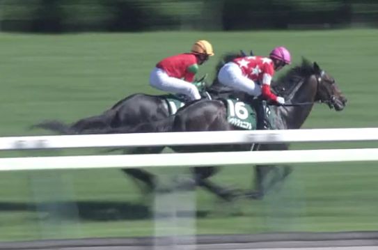 競馬 函館記念14着 マイネルファンロンの手塚師 秋山稔の騎乗の苦言 競馬総合まとめ速報