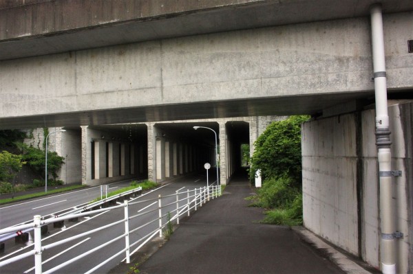 米良から大分スポーツ公園を経て高尾山 水分神社へ やまやま再発見