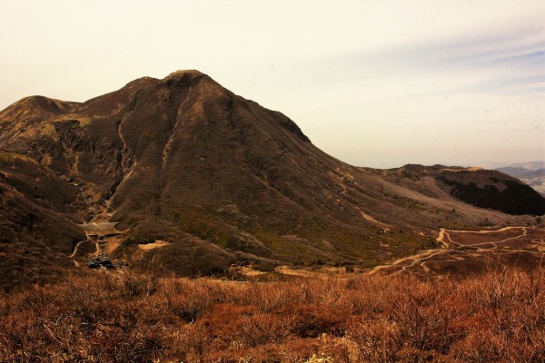 佐渡窪のマンサクと立中山 (2019) : やまやま再発見