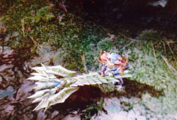 Mhx Rare3チャージアックスpart2 スペック 見た目 武器説明文 チャージアックス モンハンクロス ダブルクロス 笛吹いたり貫通撃ったりたまに切ったり