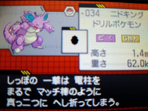 努力値は252 ニドキング 純愛的に考えて