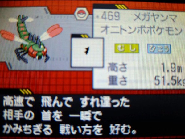 努力値は252 メガヤンマ 純愛的に考えて