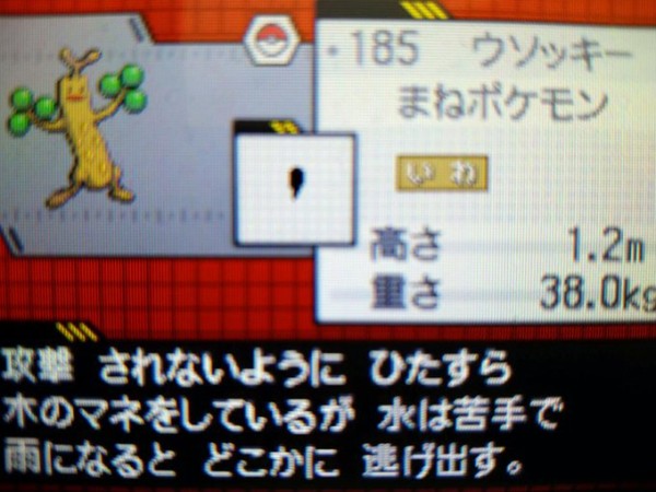 努力値は252 ウソッキー 純愛的に考えて