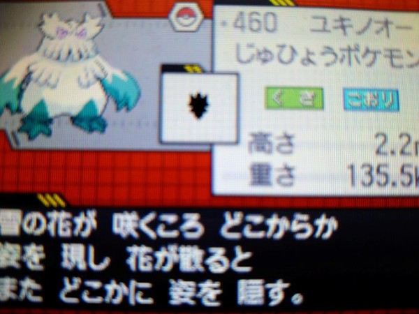 努力値は252 ユキノオー 純愛的に考えて