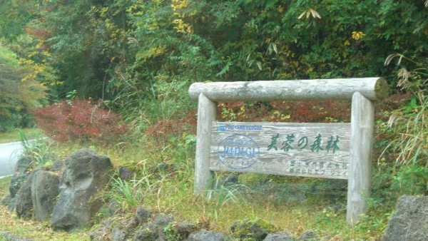 __十里木高原別荘地芙蓉の森林