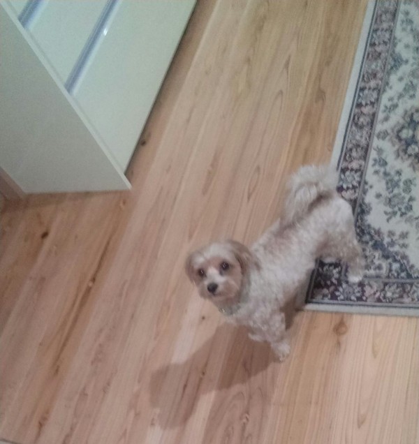 20191009_163319-1