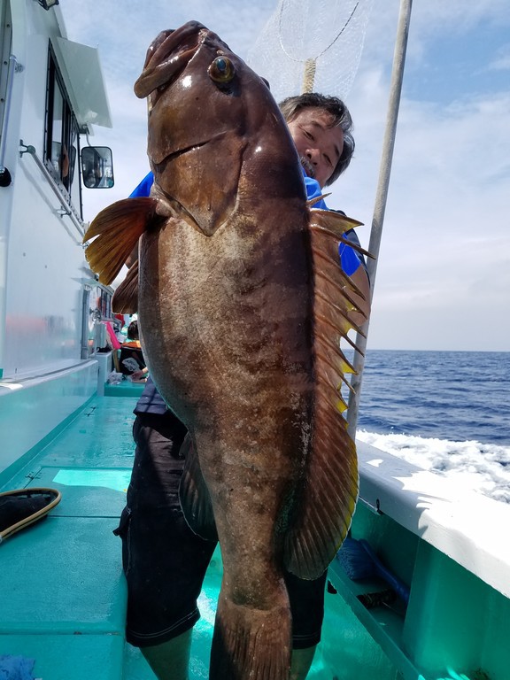 6月19日 釣果 神津島 神津島 重郎平丸 釣果ブログ