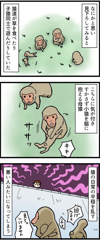 紫猿子