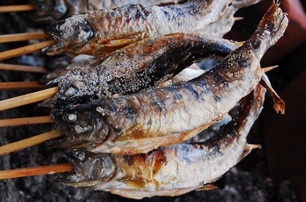 魚の丸焼きとか見るとどうしても ﾀﾋ骸 に見えちゃって食べる気になれない 女性様 鬼女 生活2chまとめブログ