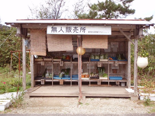 無人販売所で野菜を買おうと料金箱にお金を入れようとしたら彼が どうせこんなとこに出てる野菜なんかタダ同然だろ 女性様 鬼女 生活2chまとめブログ