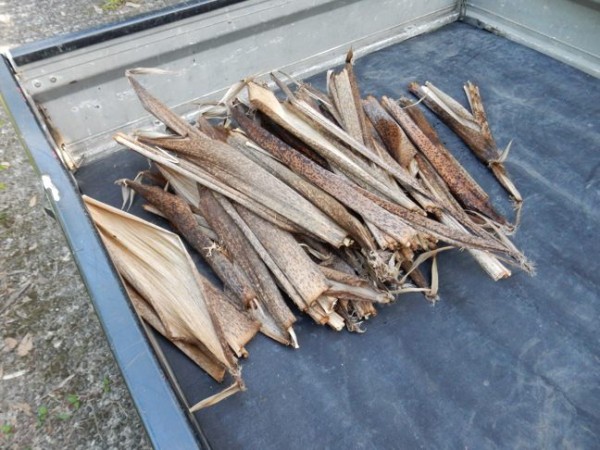 流木 台座  花梨瘤 流木 台座 花梨瘤