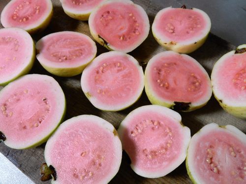 グァバ 種子/タネ/採取用/赤果肉 バンジロウ バンシルー 園芸/庭木