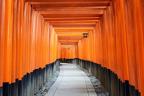 どこにもない美しさが漂う京都伏見稲荷大社の 千本鳥居 写真で紹介 旅行 飲食ブログ Agenda