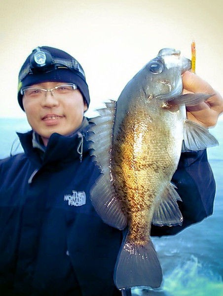 フィネスジギングでメバル満喫 Fishing My Life