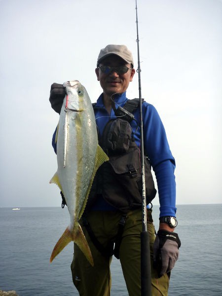 地磯で青物 山陰 Fishing My Life