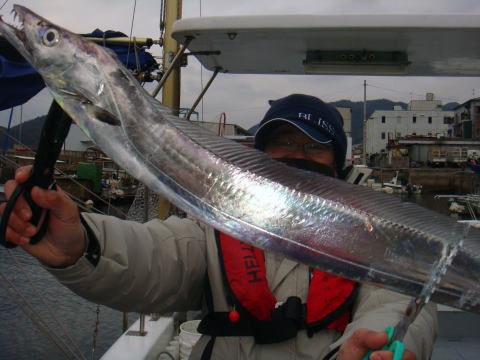 私考的タチウオジギング : fishing = my life