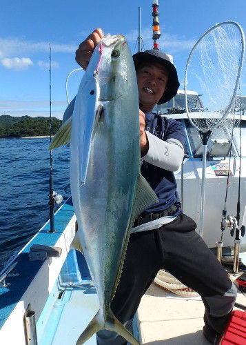 タチウオベイトで高活性 クダコ Fishing My Life