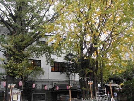 大塚いちょう祭り Hirorinおばさん気任せ綴