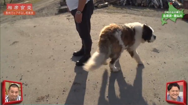 雑感 相席食堂 陸海空地球征服するなんて ラブアース ヨイ ナガメ