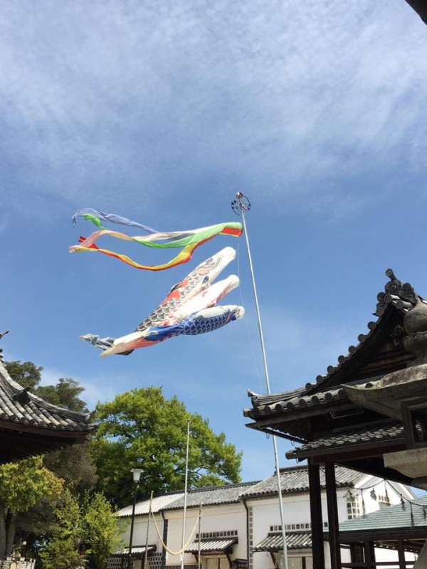 鯉のぼりの吹き流しに陰陽五行を思う 易経 陰陽五行 こやまとしのりのブログ