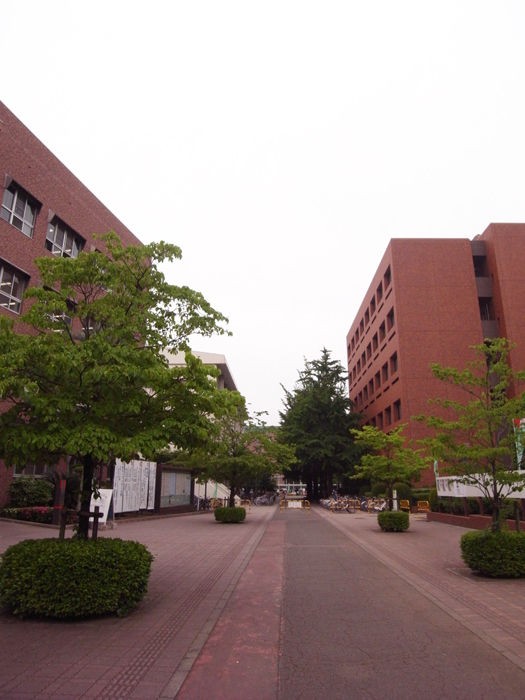 母校 熊本学園大学 当時は熊本商科大学 Director S Blog
