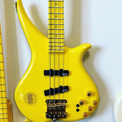 ベースを紹介しよう#3 TUNE TWX-4T Yellow : カバの放し飼い～電