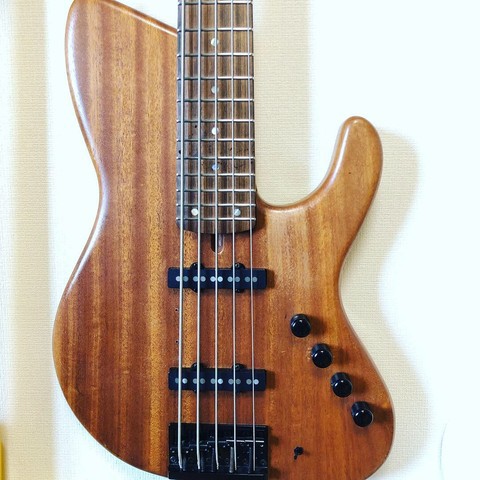 ベース dragon fly SJ-4 ベースを紹介しよう#4 Dragonfly SJ ～PLEKかけてみた : カバの