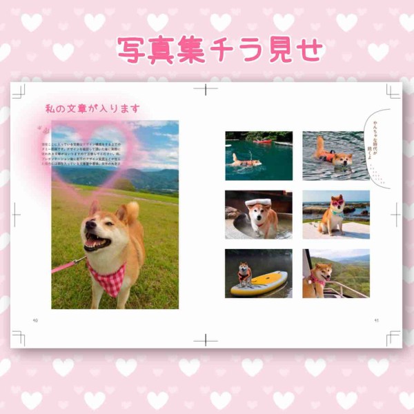 格安販売の 夕日を見ると、かぼちゃんを思い出して泣けてくる : かぼす ギター
