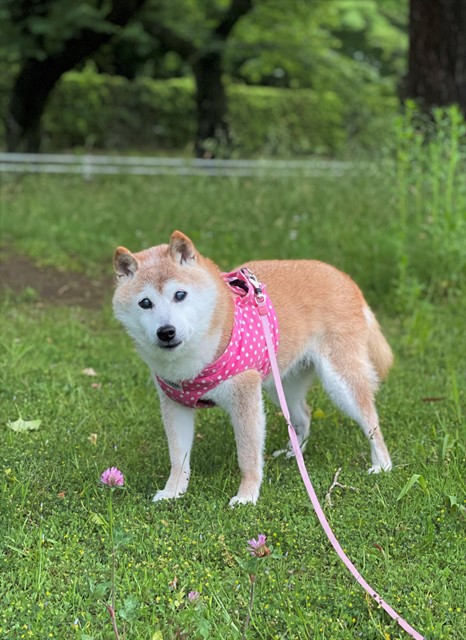 向こうに着いたら