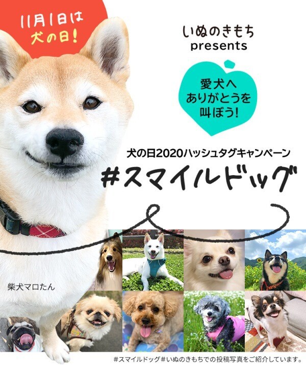 かぼちゃんへありがとうを叫ぼう かぼすちゃんとおさんぽ Powered By ライブドアブログ かぼちゃんへありがとうを叫ぼう かぼすちゃんとおさんぽ Powered By ライブドアブログ